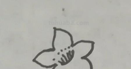 桃花怎么画简笔画图画(桃花怎么画简笔画图画既简单又好看) 桃花怎么画简笔画图画(桃花怎么画简笔画图画既简单又好看)