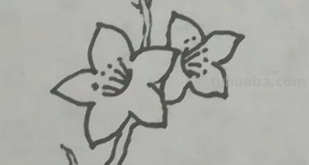 桃花怎么画简笔画图画(桃花怎么画简笔画图画既简单又好看) 桃花怎么画简笔画图画(桃花怎么画简笔画图画既简单又好看)