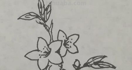 桃花怎么画简笔画图画(桃花怎么画简笔画图画既简单又好看) 桃花怎么画简笔画图画(桃花怎么画简笔画图画既简单又好看)