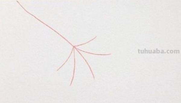 树叶怎么画不用彩铅画(树叶怎么画不用彩铅画的) 树叶怎么画不用彩铅画(树叶怎么画不用彩铅画的)