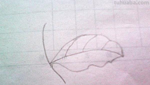 树叶怎么画不用彩铅画(树叶怎么画不用彩铅画的) 树叶怎么画不用彩铅画(树叶怎么画不用彩铅画的)