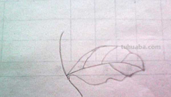 树叶怎么画不用彩铅画(树叶怎么画不用彩铅画的) 树叶怎么画不用彩铅画(树叶怎么画不用彩铅画的)