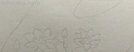 彩铅画完整荷花怎么画（彩铅画完整荷花怎么画好看）