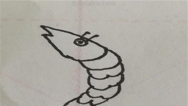 大虾怎么画简笔画图片(大虾怎么画简笔画图片大全) 大虾怎么画简笔画图片(大虾怎么画简笔画图片大全)