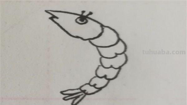 大虾怎么画简笔画图片(大虾怎么画简笔画图片大全) 大虾怎么画简笔画图片(大虾怎么画简笔画图片大全)