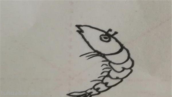 大虾怎么画简笔画图片(大虾怎么画简笔画图片大全) 大虾怎么画简笔画图片(大虾怎么画简笔画图片大全)