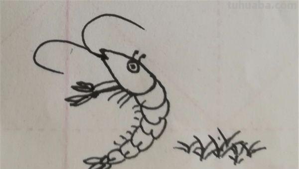 大虾怎么画简笔画图片(大虾怎么画简笔画图片大全) 大虾怎么画简笔画图片(大虾怎么画简笔画图片大全)