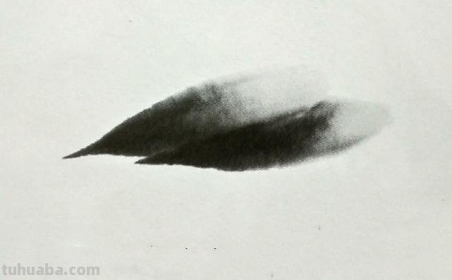 大虾怎么画简笔画图片(大虾怎么画简笔画图片大全) 大虾怎么画简笔画图片(大虾怎么画简笔画图片大全)