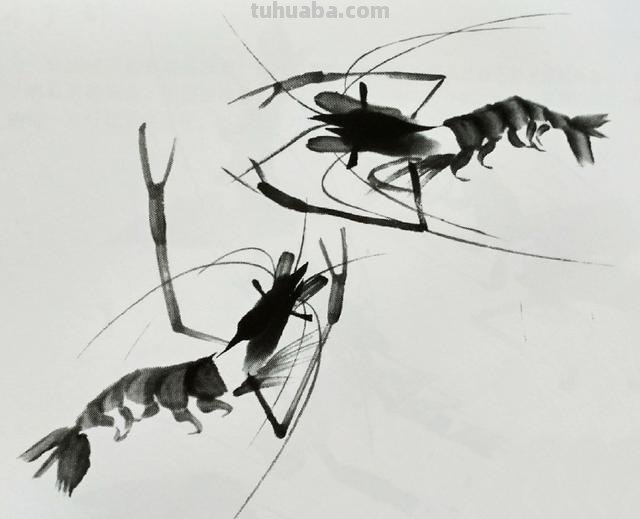 大虾怎么画简笔画图片(大虾怎么画简笔画图片大全) 大虾怎么画简笔画图片(大虾怎么画简笔画图片大全)