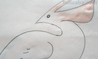 飞鸟怎么画简笔画(飞鸟怎么画简笔画图片) 飞鸟怎么画简笔画(飞鸟怎么画简笔画图片)