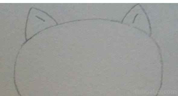 怎么画猫的简笔画(怎么画猫的简笔画又漂亮又简单) 怎么画猫的简笔画(怎么画猫的简笔画又漂亮又简单)