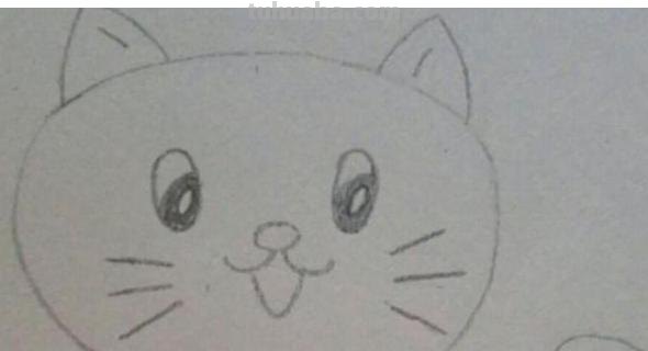 怎么画猫的简笔画(怎么画猫的简笔画又漂亮又简单) 怎么画猫的简笔画(怎么画猫的简笔画又漂亮又简单)