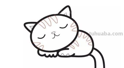 怎么画猫的简笔画(怎么画猫的简笔画又漂亮又简单) 怎么画猫的简笔画(怎么画猫的简笔画又漂亮又简单)