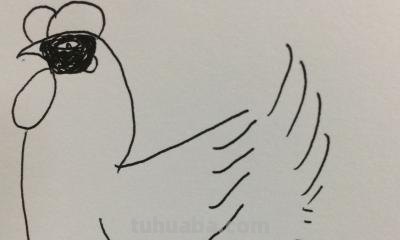 怎么画鸡的简笔画(怎么画鸡的简笔画图片) 怎么画鸡的简笔画(怎么画鸡的简笔画图片)
