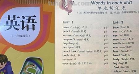英语思维导图怎么（英语思维导图怎么画）