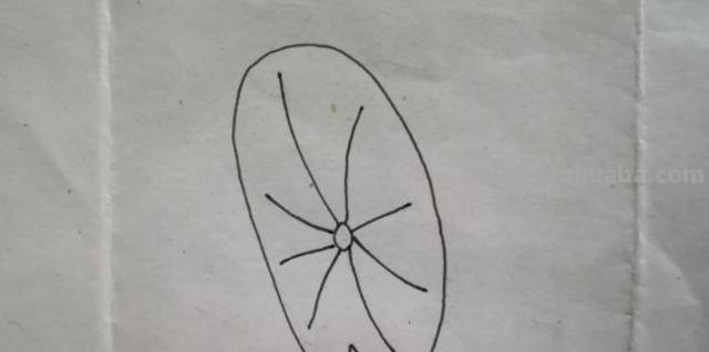 怎么画荷叶简笔画（怎么画荷叶简单又好看）