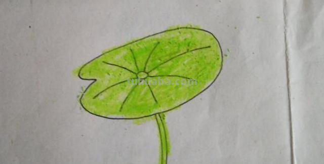 怎么画荷叶简笔画（怎么画荷叶简单又好看）
