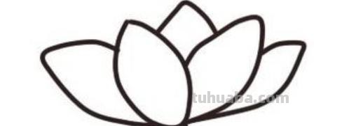 怎么画荷叶简笔画（怎么画荷叶简单又好看）