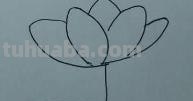 怎么画荷叶简笔画（怎么画荷叶简单又好看）