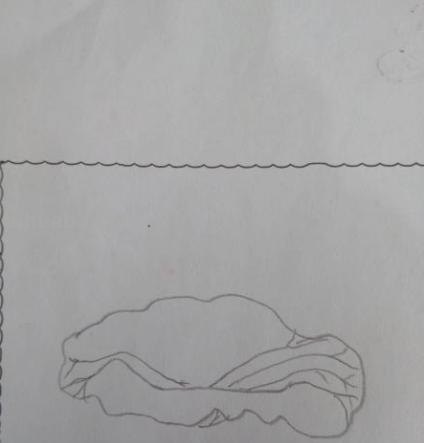 怎么画荷叶简笔画（怎么画荷叶简单又好看）