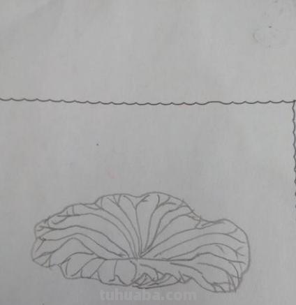 怎么画荷叶简笔画（怎么画荷叶简单又好看）