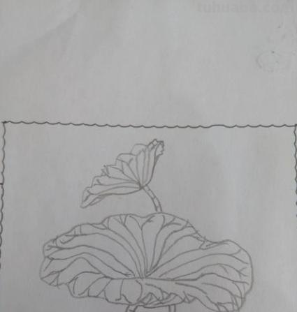 怎么画荷叶简笔画（怎么画荷叶简单又好看）