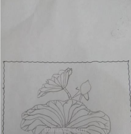 怎么画荷叶简笔画（怎么画荷叶简单又好看）