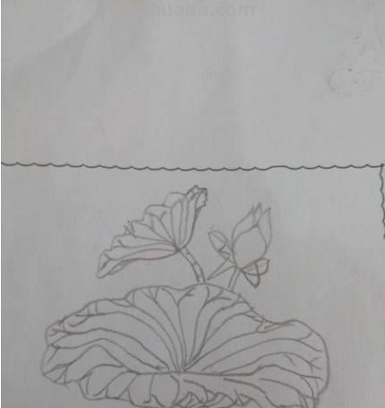 怎么画荷叶简笔画（怎么画荷叶简单又好看）