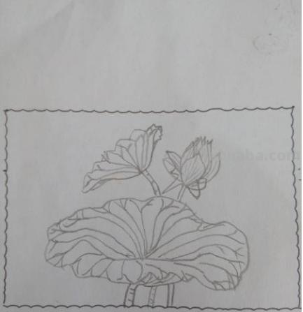 怎么画荷叶简笔画（怎么画荷叶简单又好看）