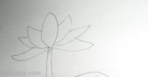 怎么画荷叶简笔画（怎么画荷叶简单又好看）