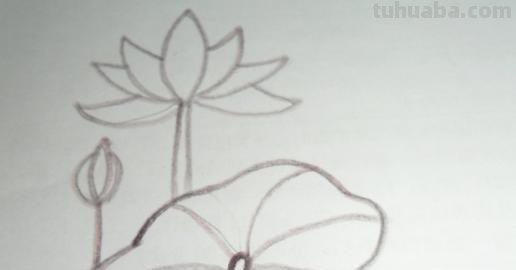 怎么画荷叶简笔画（怎么画荷叶简单又好看）