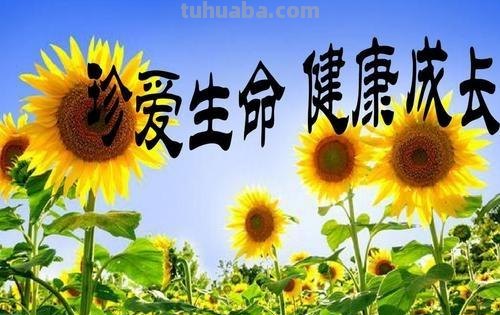 安全教育手抄报怎么写（安全教育手抄报怎么写字）