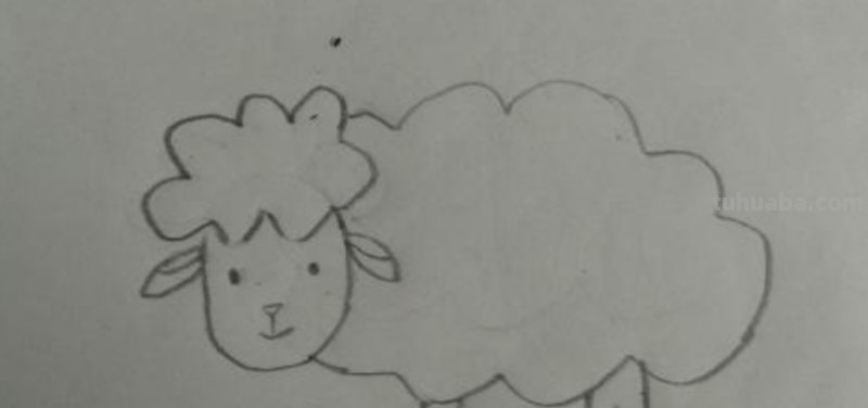 怎么画羊的简笔画(怎么画羊的简笔画图片) 怎么画羊的简笔画(怎么画羊的简笔画图片)