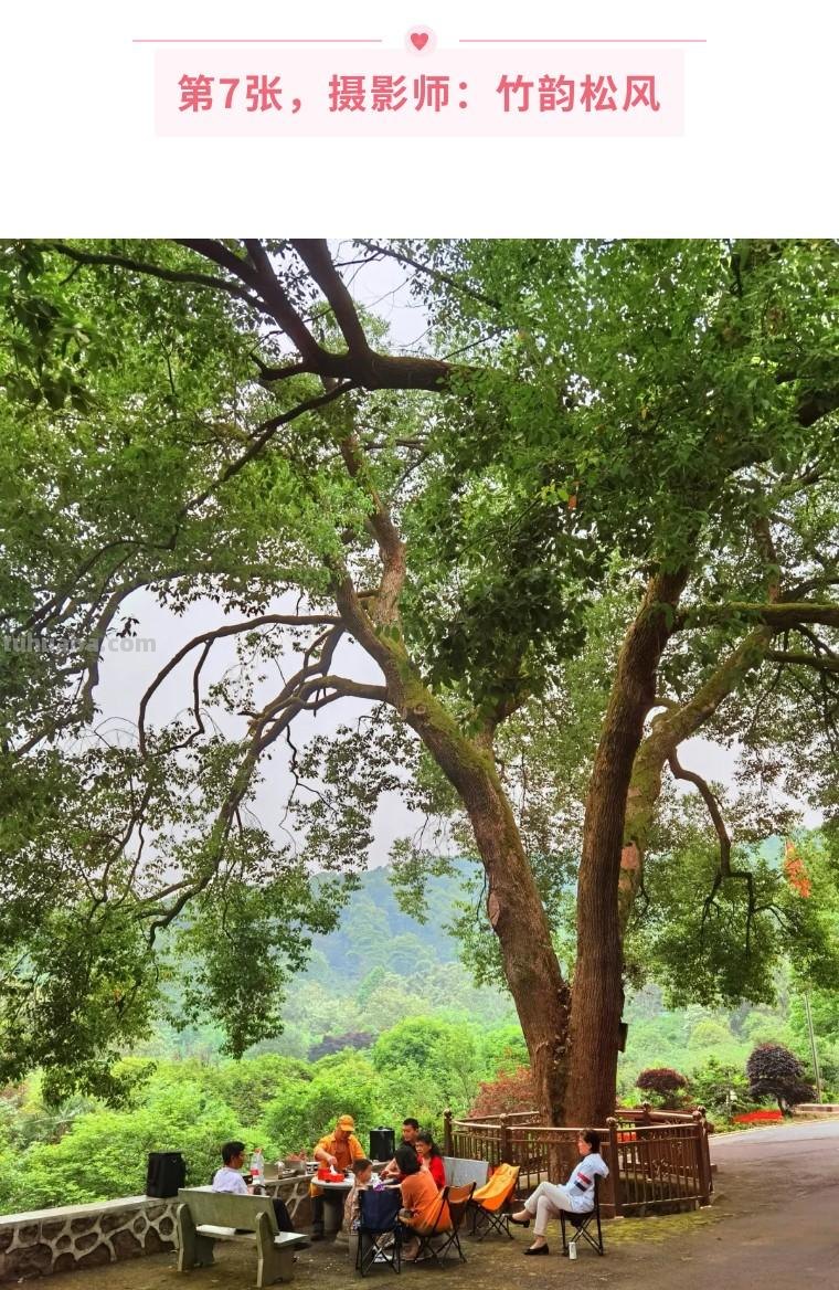 再送你20个摄影技巧，让你的作品无众不同！（影展点评第532期）