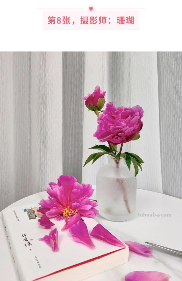 再送你20个摄影技巧，让你的作品无众不同！（影展点评第532期）