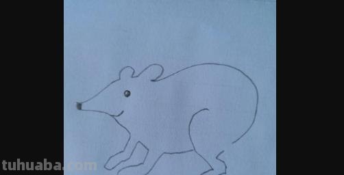彩铅画简单老鼠怎么画(彩铅画简单老鼠怎么画好看) 彩铅画简单老鼠怎么画(彩铅画简单老鼠怎么画好看)