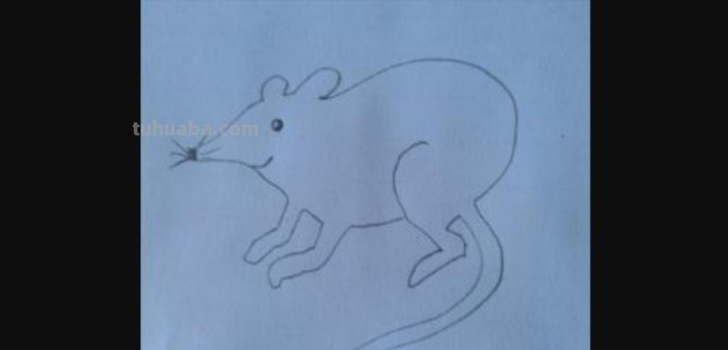 彩铅画简单老鼠怎么画(彩铅画简单老鼠怎么画好看) 彩铅画简单老鼠怎么画(彩铅画简单老鼠怎么画好看)