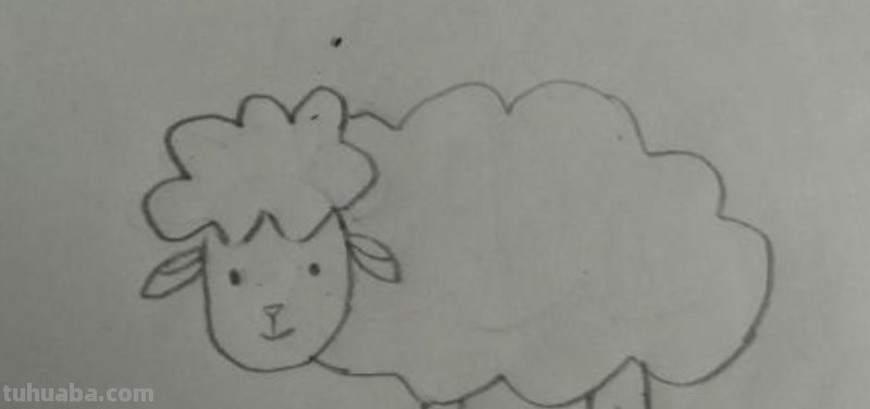 怎么画小羊简笔画(怎么画小羊简笔画好看) 怎么画小羊简笔画(怎么画小羊简笔画好看)