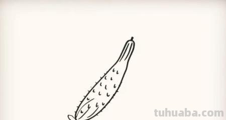 彩铅画水果黄瓜怎么画(彩铅画水果黄瓜怎么画好看) 彩铅画水果黄瓜怎么画(彩铅画水果黄瓜怎么画好看)