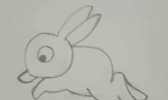 乌龟怎么画儿童简笔画（乌龟怎么画儿童简笔画很好看又漂亮）