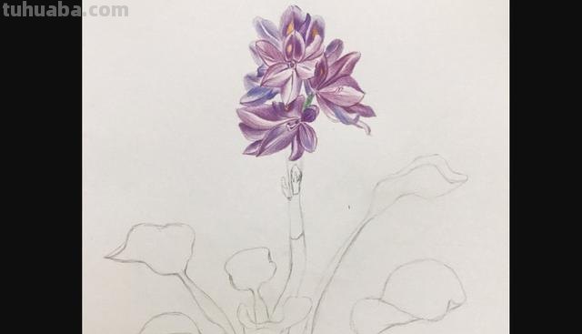 春季彩铅画桃花怎么画(春季彩铅画桃花怎么画好看) 春季彩铅画桃花怎么画(春季彩铅画桃花怎么画好看)