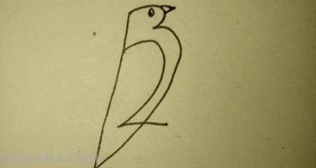 怎么画鸟的简笔画(怎么画鸟的简笔画图片) 怎么画鸟的简笔画(怎么画鸟的简笔画图片)