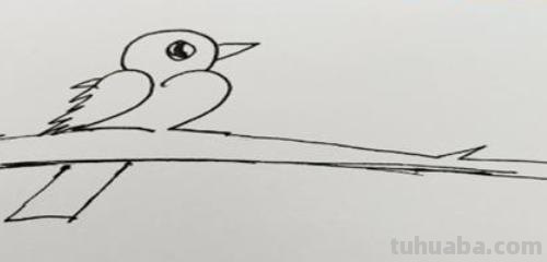 怎么画鸟的简笔画(怎么画鸟的简笔画图片) 怎么画鸟的简笔画(怎么画鸟的简笔画图片)