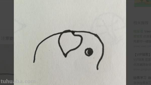 简笔画怎么画步骤（简笔画怎么画步骤图）