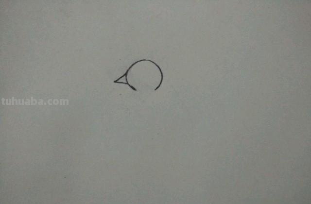 怎么画孔雀简笔画(怎么画孔雀简笔画图片) 怎么画孔雀简笔画(怎么画孔雀简笔画图片)