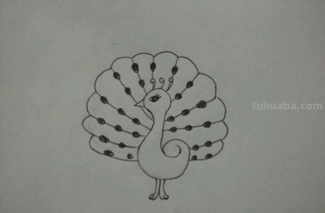 怎么画孔雀简笔画(怎么画孔雀简笔画图片) 怎么画孔雀简笔画(怎么画孔雀简笔画图片)