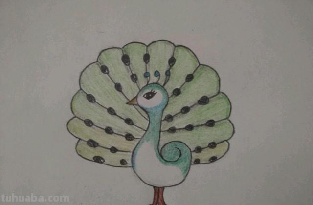 怎么画孔雀简笔画(怎么画孔雀简笔画图片) 怎么画孔雀简笔画(怎么画孔雀简笔画图片)