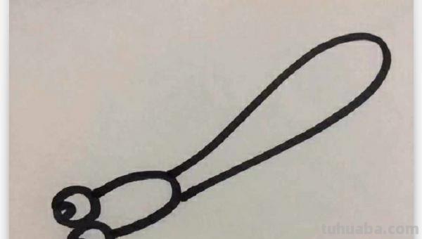怎么画蜻蜓简笔画（怎么画蜻蜓简笔画图片）