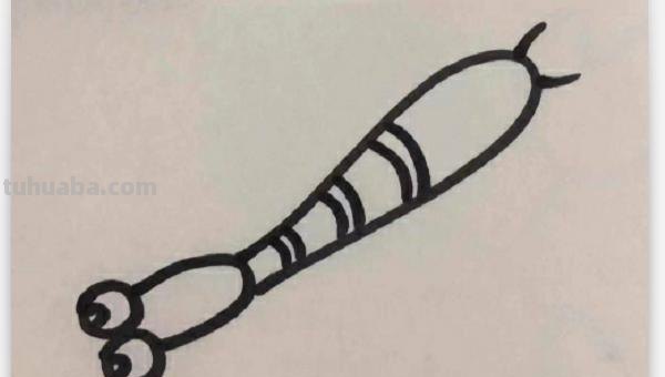 怎么画蜻蜓简笔画（怎么画蜻蜓简笔画图片）