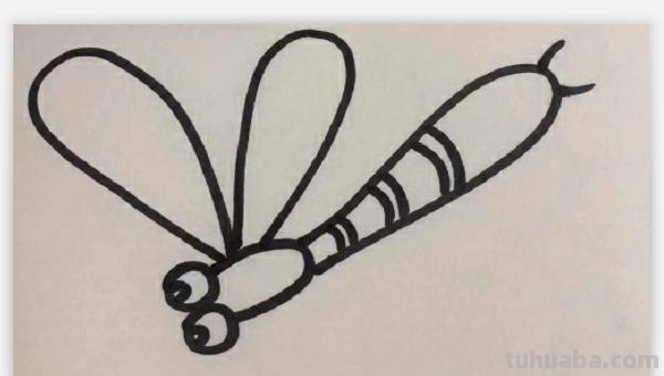 怎么画蜻蜓简笔画（怎么画蜻蜓简笔画图片）